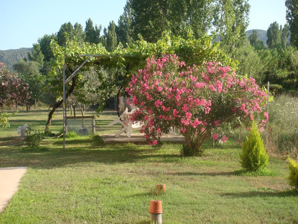 Villa Angela Sykia Chalkidikis Bagian luar foto