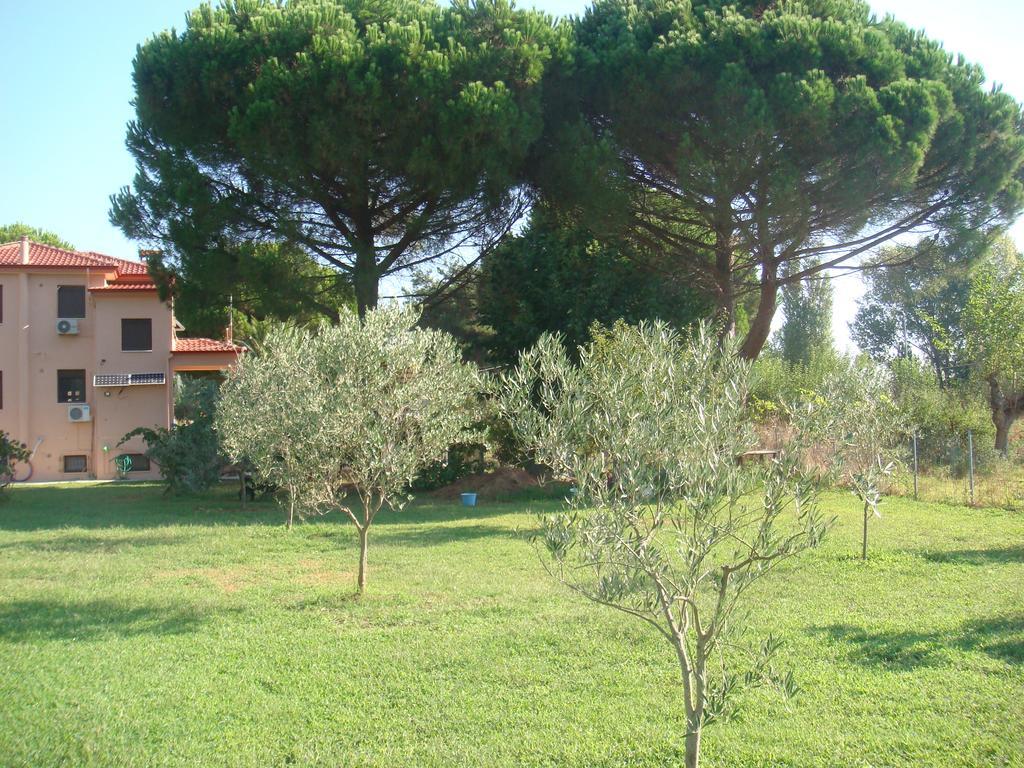 Villa Angela Sykia Chalkidikis Bagian luar foto