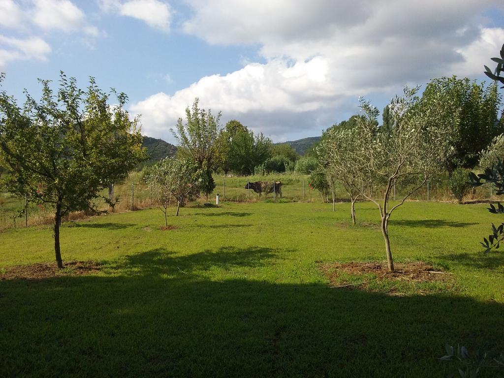 Villa Angela Sykia Chalkidikis Bagian luar foto